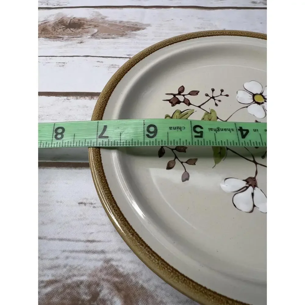 JJI Stonecrest Hand Painted‎ Daisy Plate - 7.25 Inch Diameter